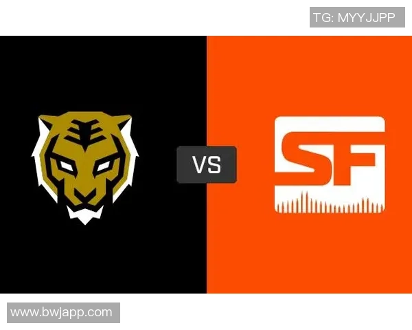 旧金山震动与首尔王朝的巅峰对决OWL总决赛精彩回顾与分析